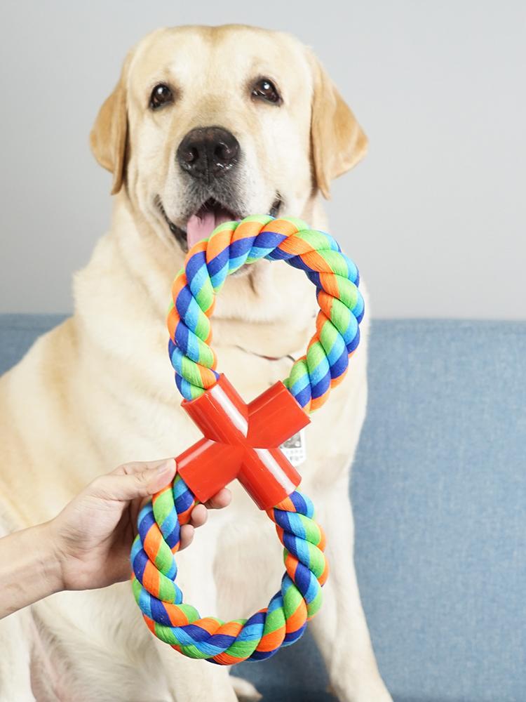 Dog holding a colorful rope toy with a red 'X' mark, against a plain background.