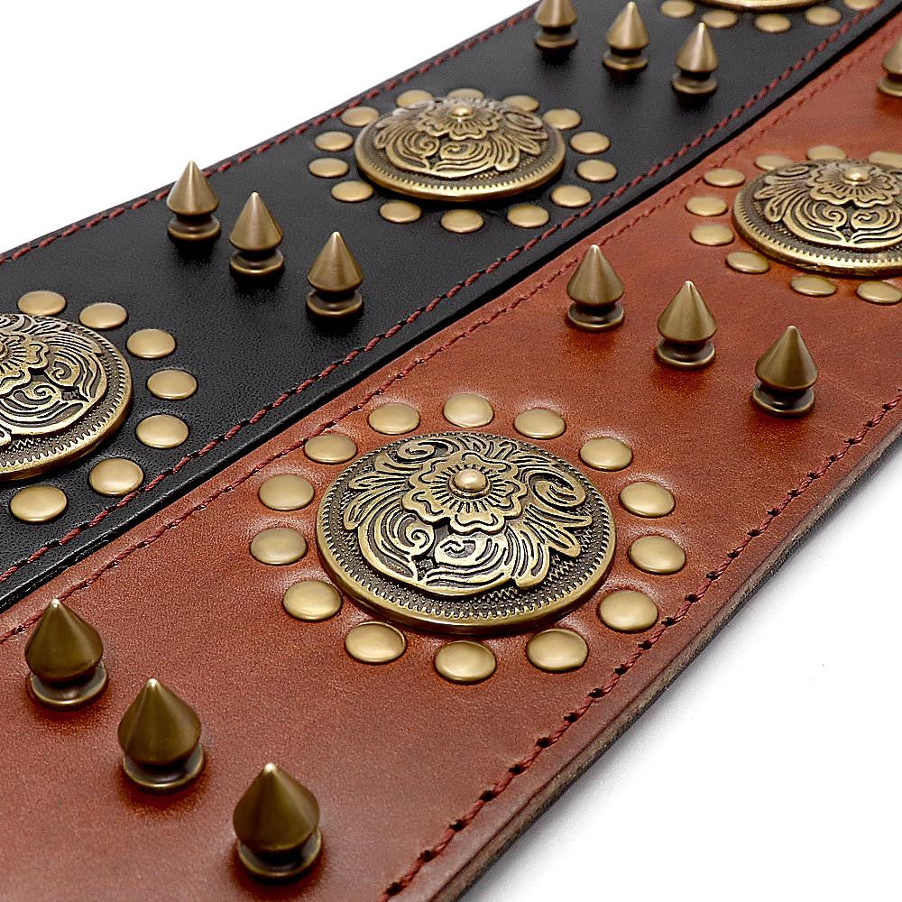Close up of black and brown leather dog collars showing brass spike studs and engraved medallion detail