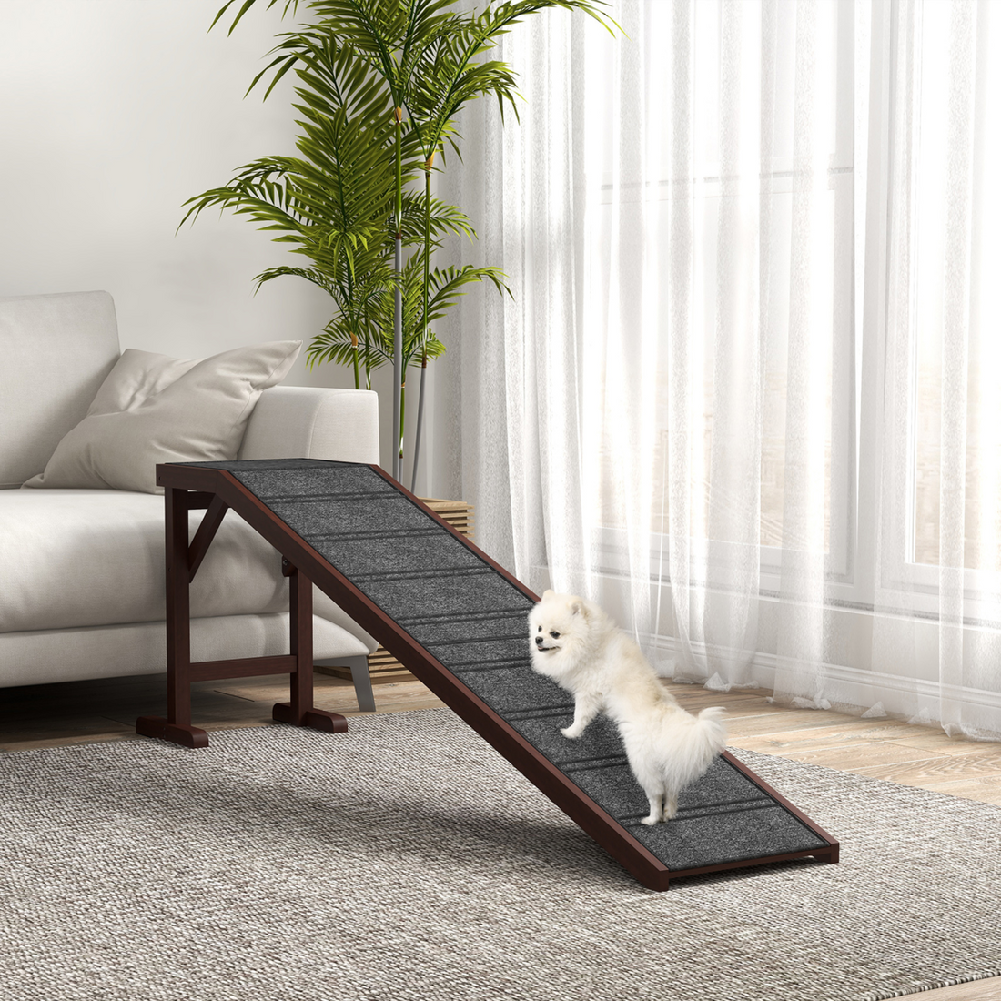 Dog ramp and dog steps side by side showing the difference between ramp and step options for helping dogs access furniture or vehicles