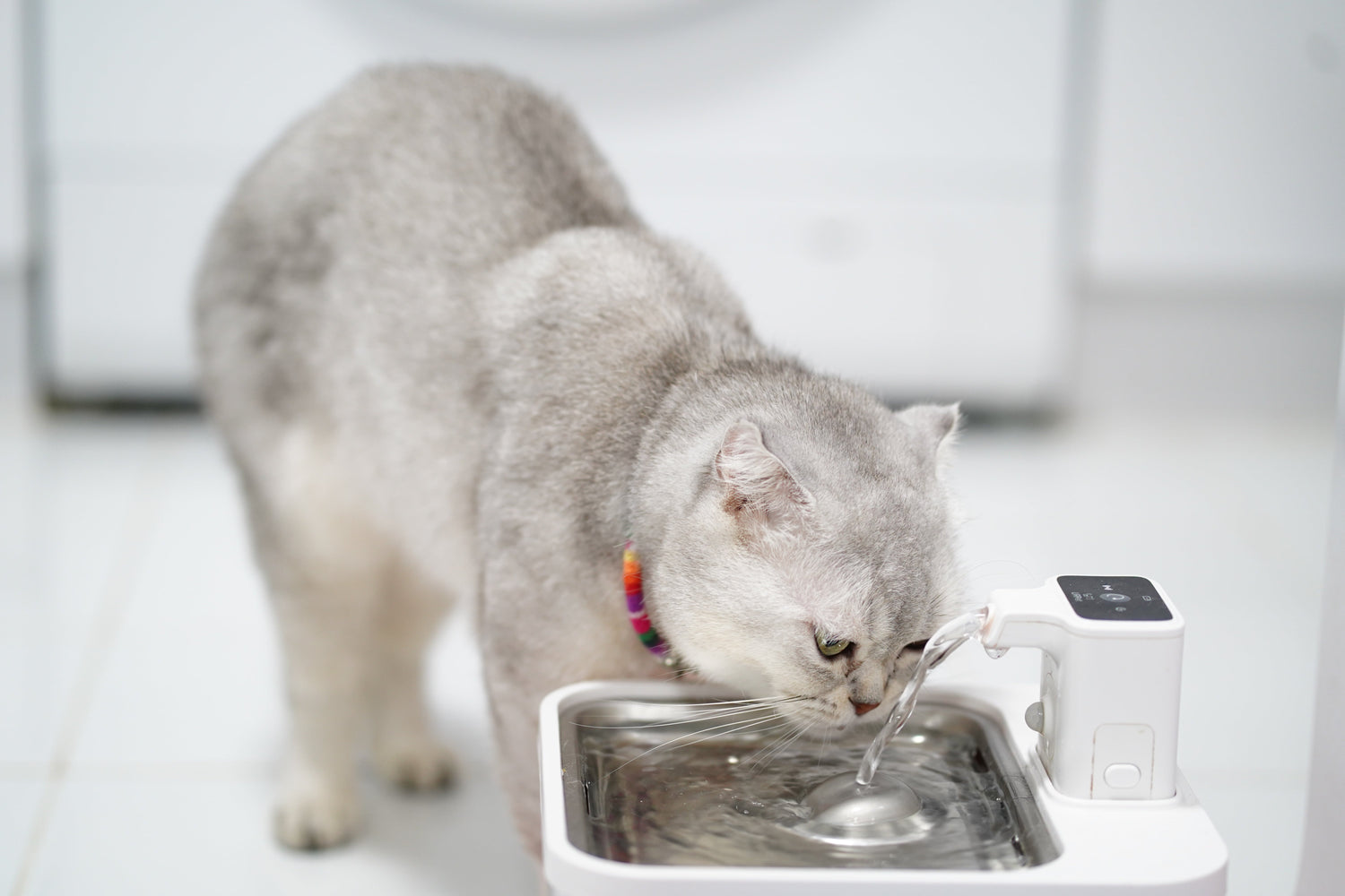 Smart Care & Hydration
