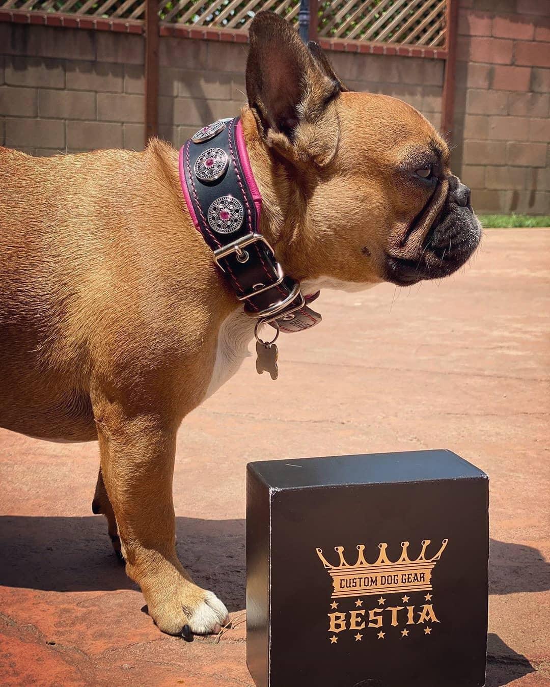 Bijou Dog Collar - Black & Pink