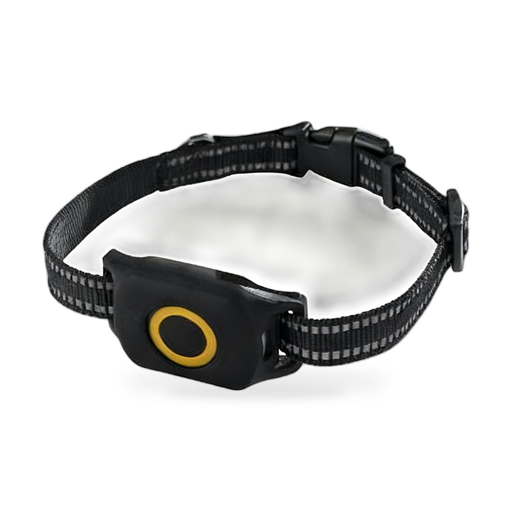 4G Wireless GPS Dog Tracker | Real-Time Pet Location