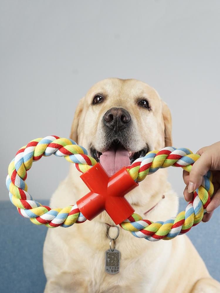 Dog playing with a colorful rope toy against a gray background