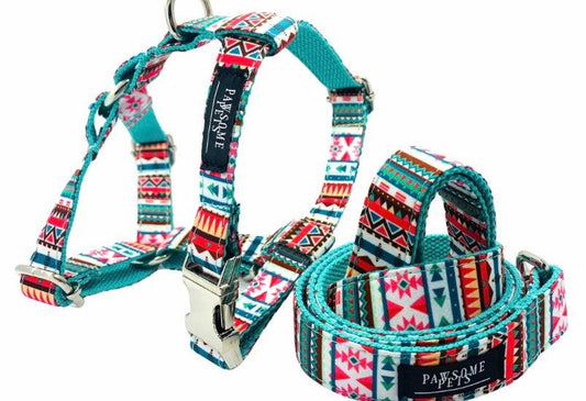 Step-in dog harness and lead bundle in tropical print pattern on white background