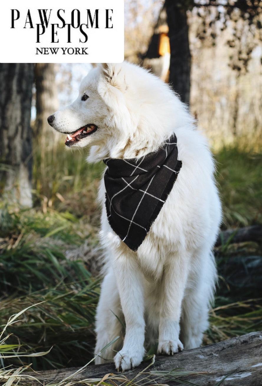 Dog Bandana-Betty | Nexus Pet Care