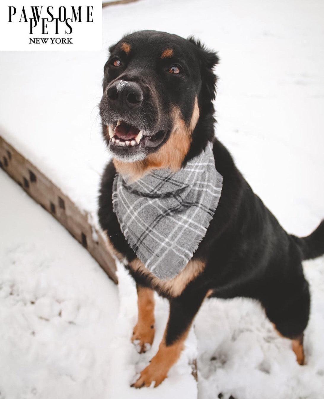 Dog Bandana-Rainer | Nexus Pet Care