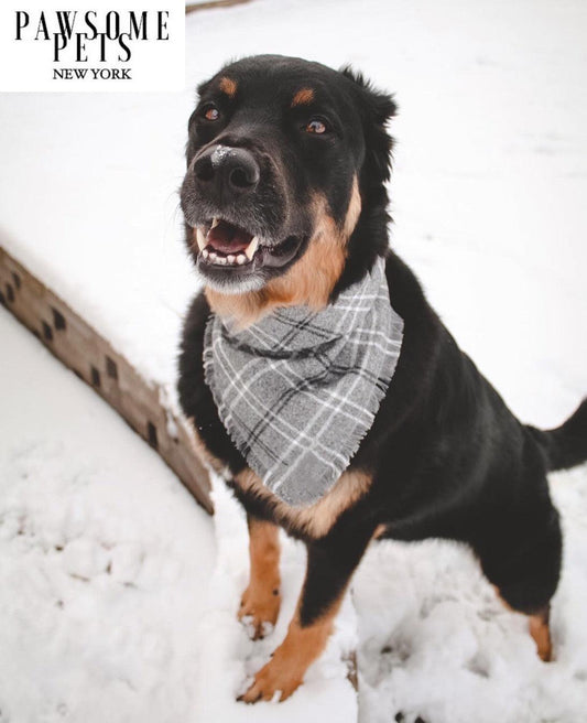 Dog Bandana-Rainer | Nexus Pet Care