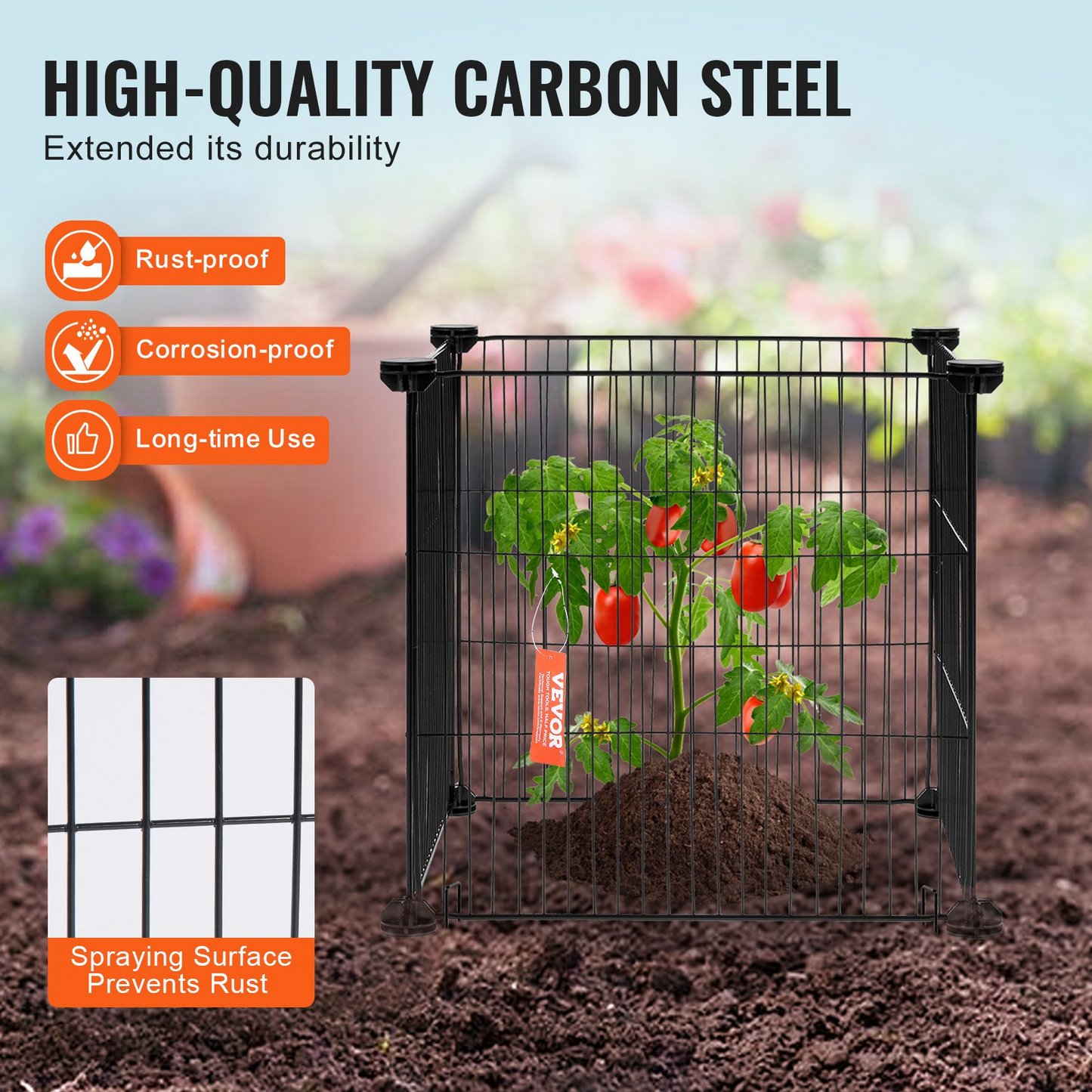 81660817