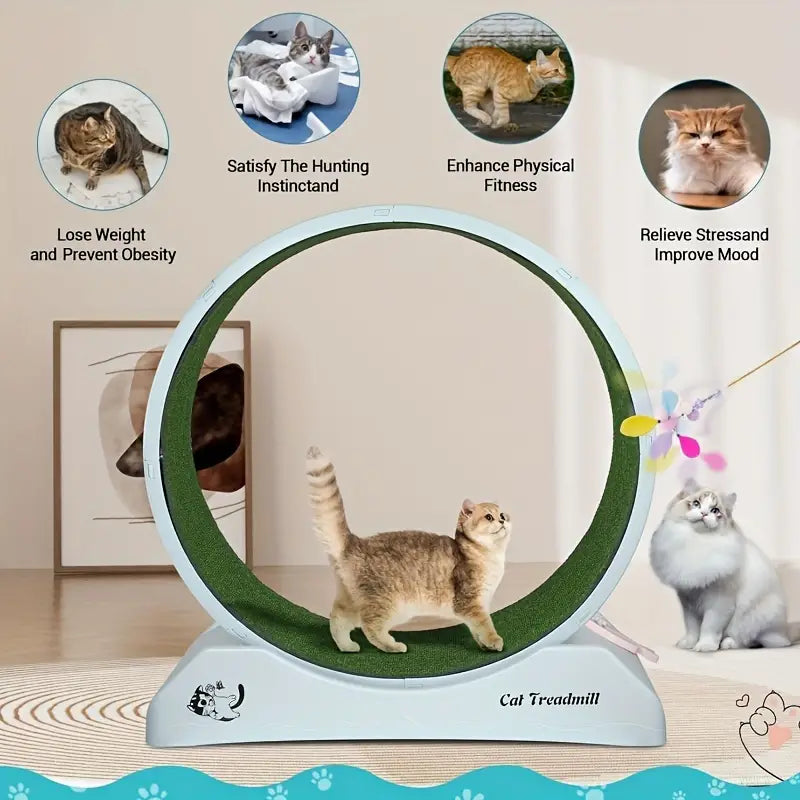 Pet Fitness Wheel & Interactive Treadmill - Grey