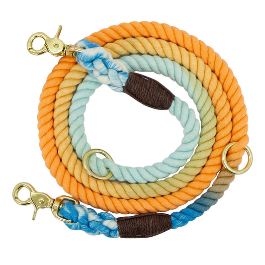 Colorful Gradient Dog Training Leash - Nexus Pet Care