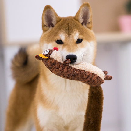 Dog holding a plush toy in its mouth with a blurred background