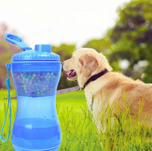 Dog interacting with a blue water bottle in a grassy outdoor setting