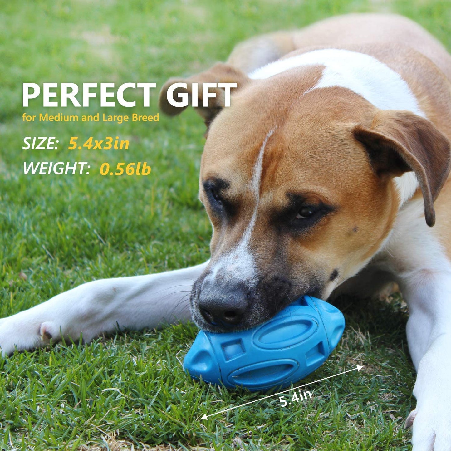 Interactive rubber rugby ball dog chew toy in blue with squeaker inside