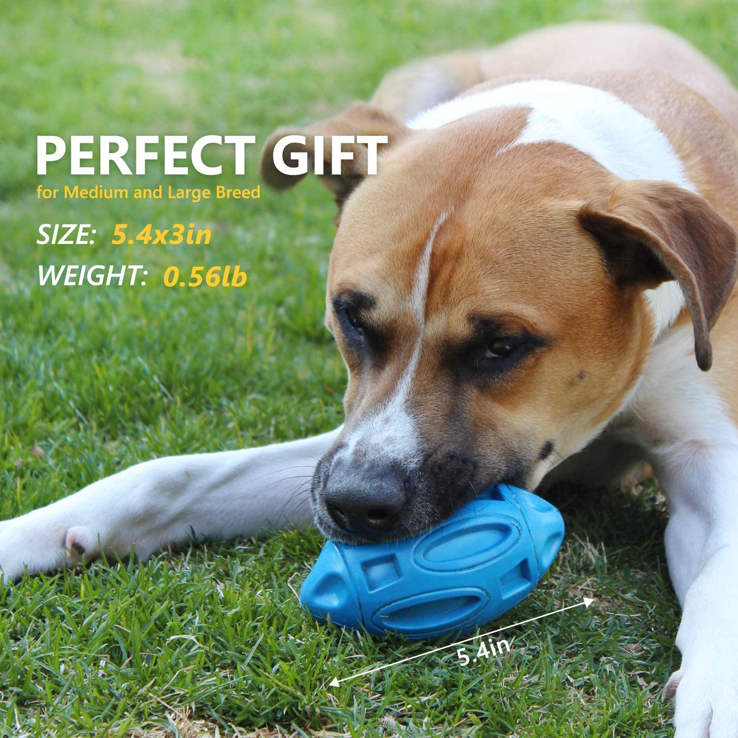 Interactive rubber rugby ball dog chew toy in blue with squeaker inside