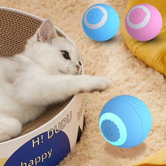 Cat playing with colorful toy balls on a carpeted floor