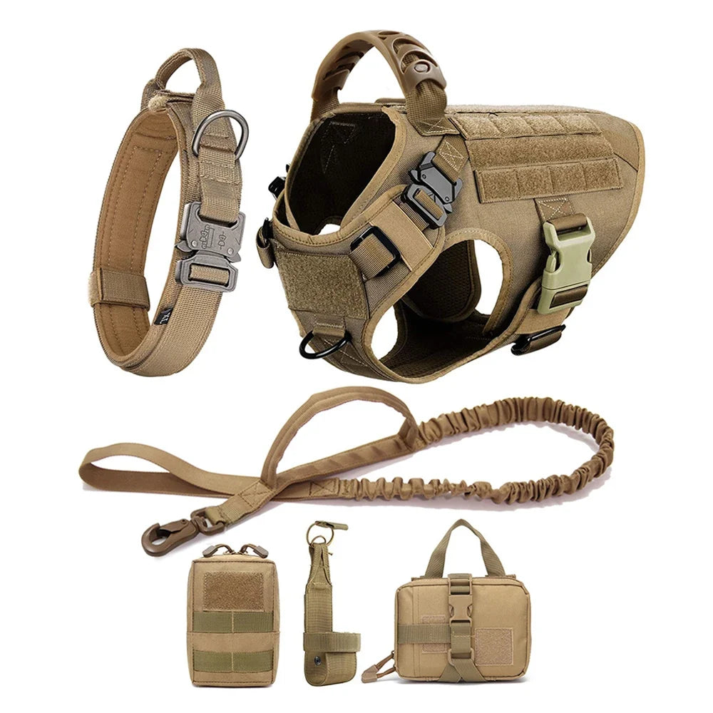 Large Dog Harness And Leash Set For Training