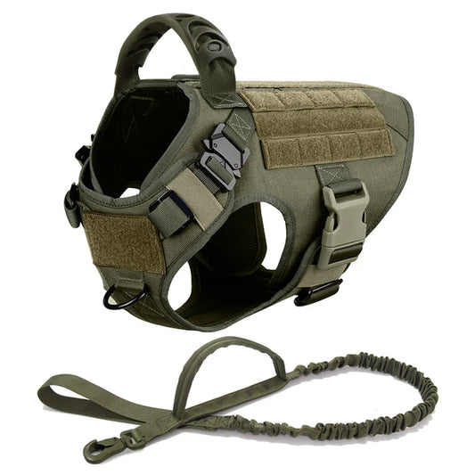 Large Dog Harness And Leash Set For Training - Nexus Pet Care