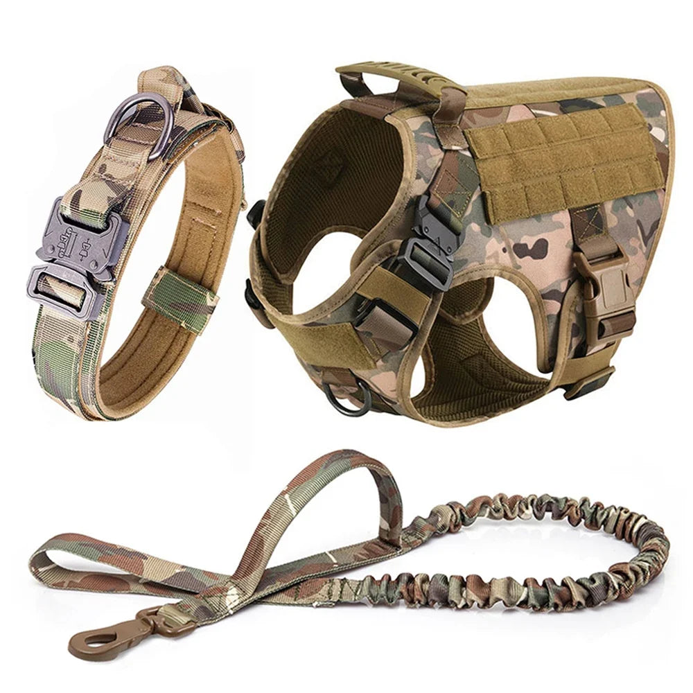 Large Dog Harness And Leash Set For Training