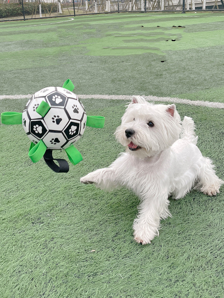 Lovely Paw Football Dog Toy | Interactive Fetch Toy