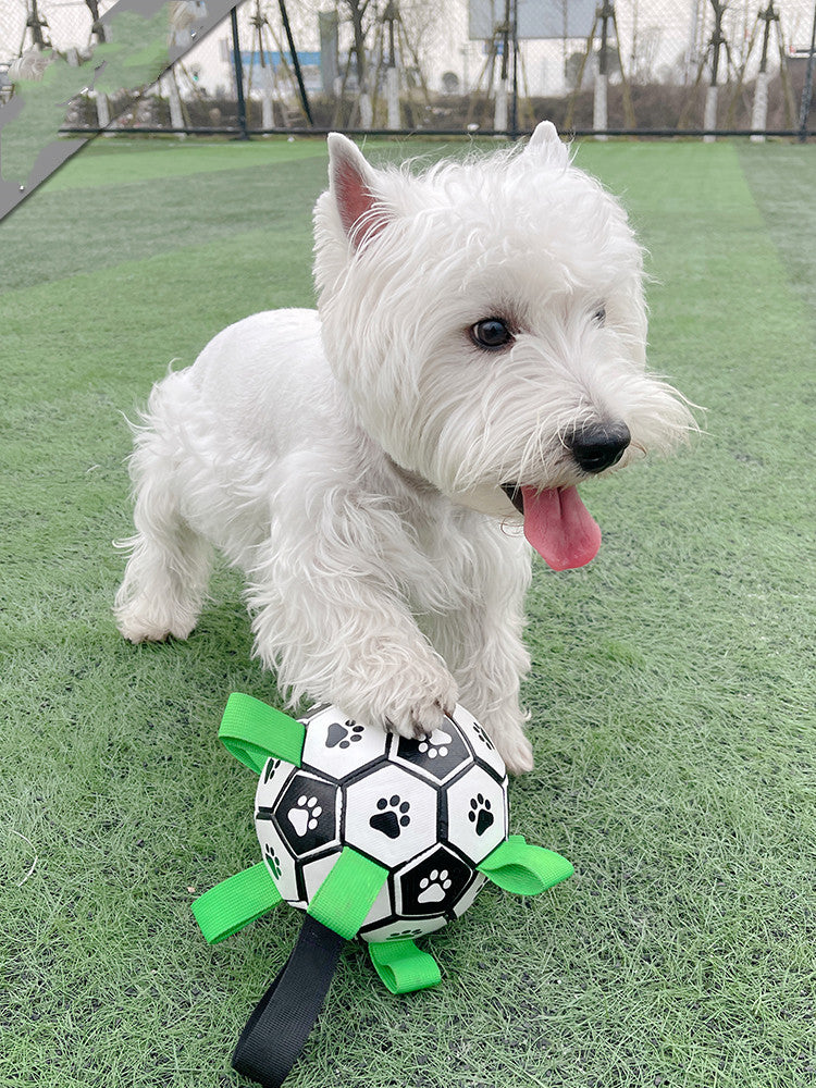 Lovely Paw Football Dog Toy | Interactive Fetch Toy