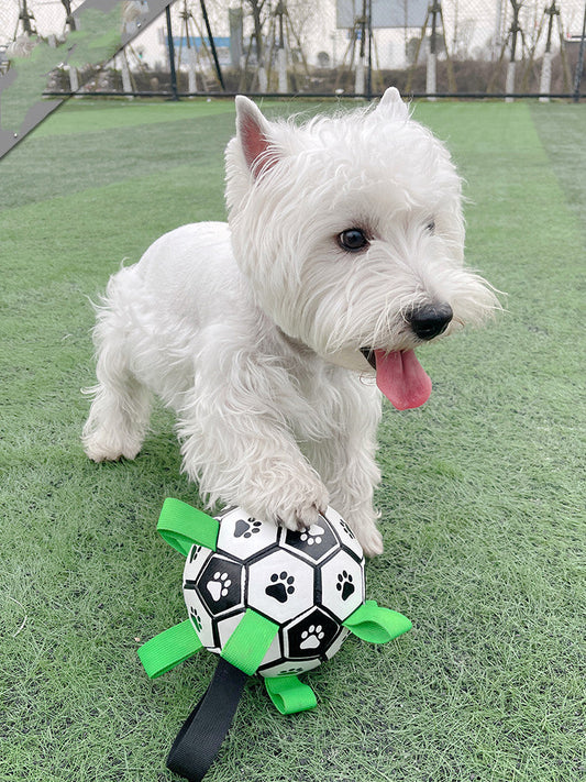 Lovely Paw Football Dog Toy | Interactive Fetch Toy