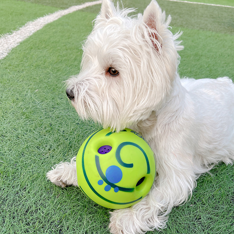 Lovely Paw Football Dog Toy | Interactive Fetch Toy