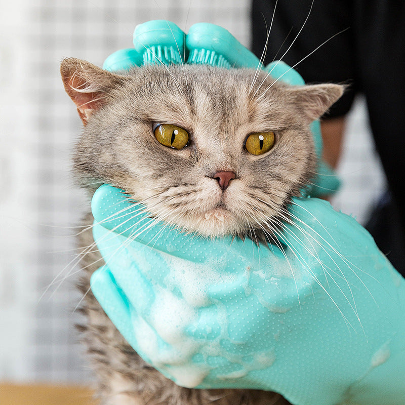Cat being bathed with a blue scrubber in a grooming session