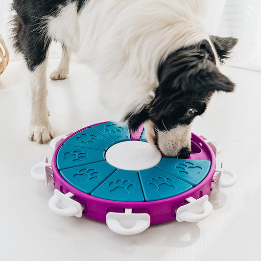 Dog interacting with a colorful puzzle toy on a light background