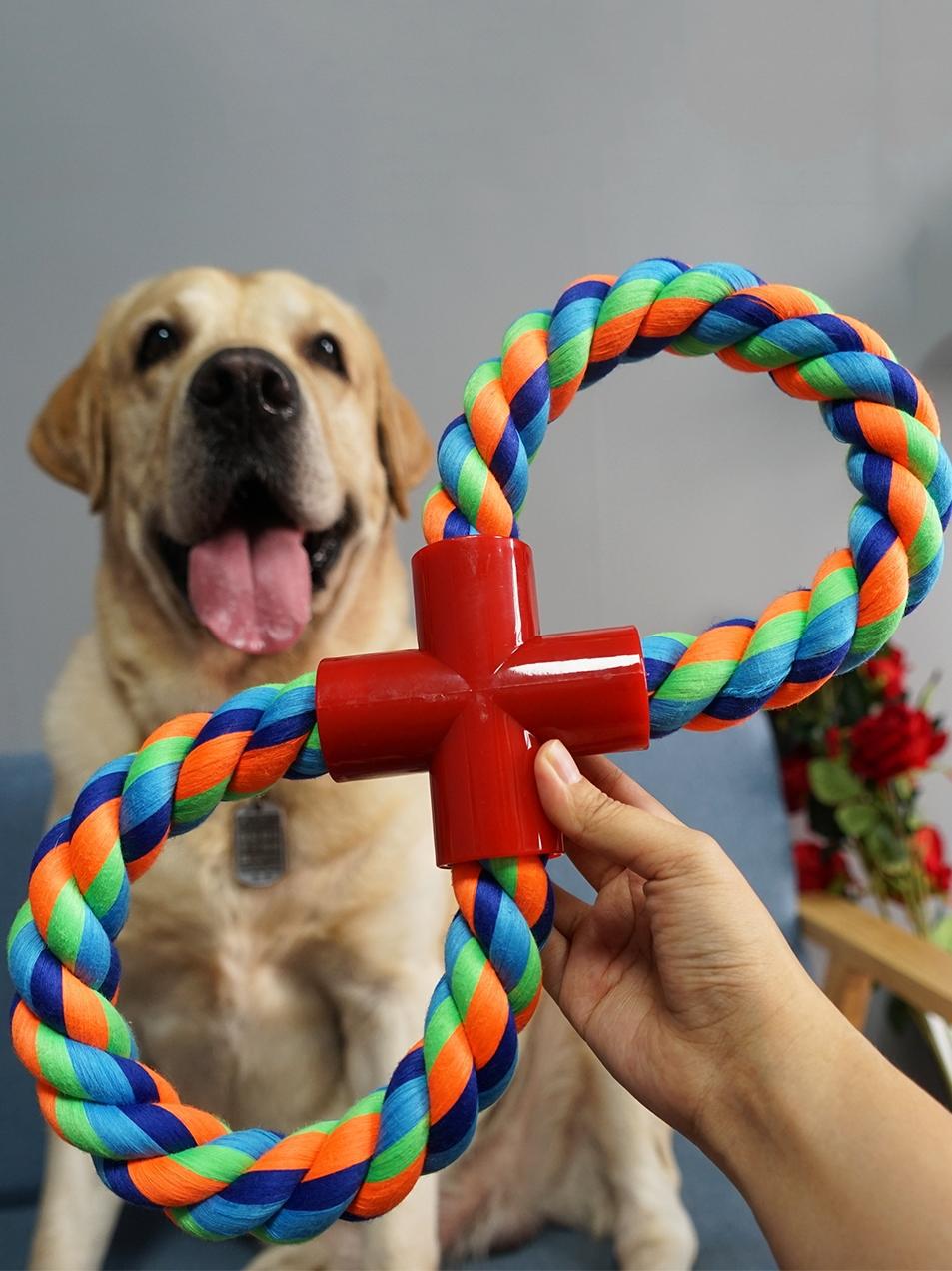 Colourful cotton rope dog toy for tug and chew play on white background