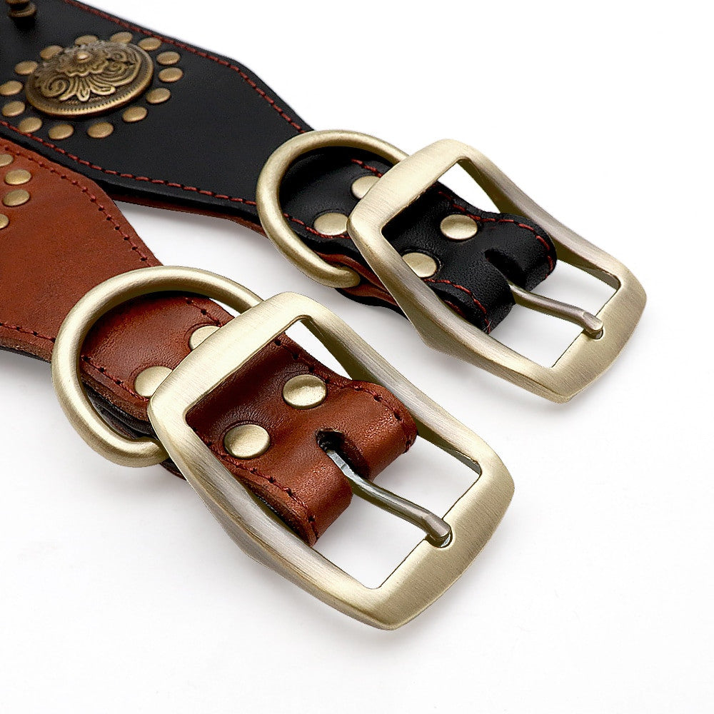 Close up of brown and black studded leather dog collar showing brass D-ring and buckle detail
