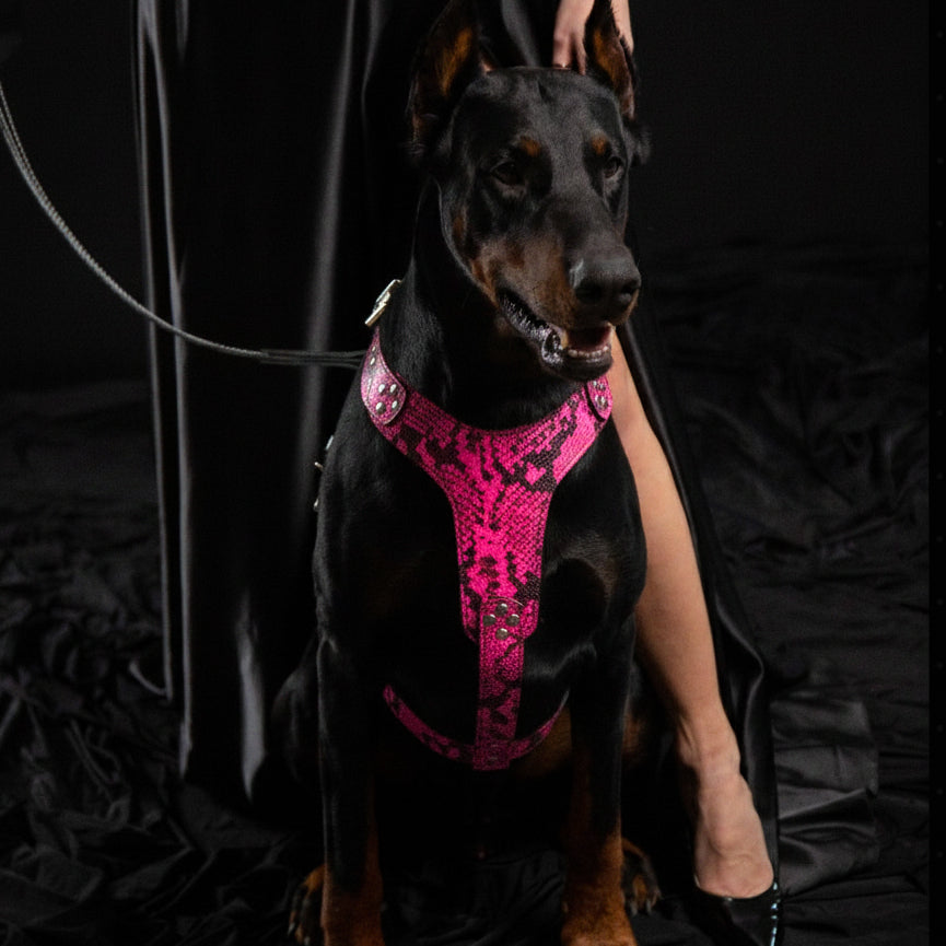 Rock Python Dog Harness - Pink