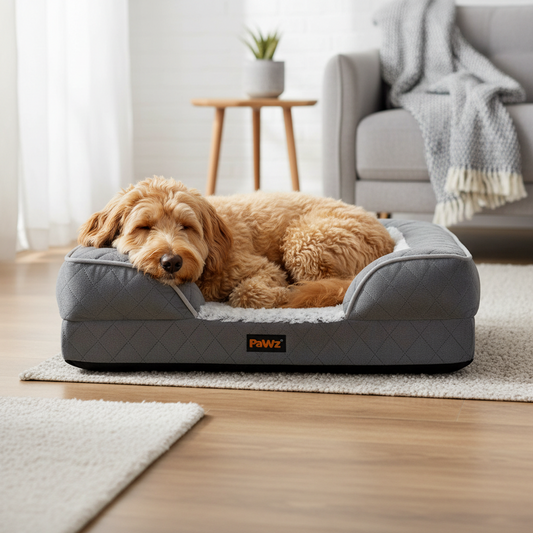 Golden Labradoodle resting in a grey quilted Pawz orthopedic memory foam dog bed with sherpa lining in a modern living room