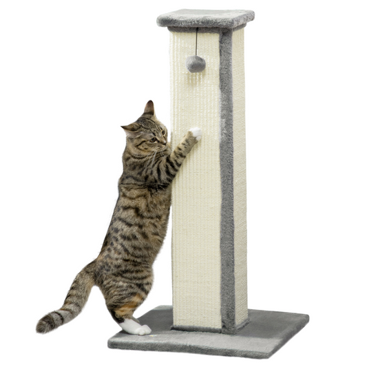 Cat Scratching Post 81cm Cat Scratcher w/ Natural Sisal Rope Hanging Ball Grey - Nexus Pet Care