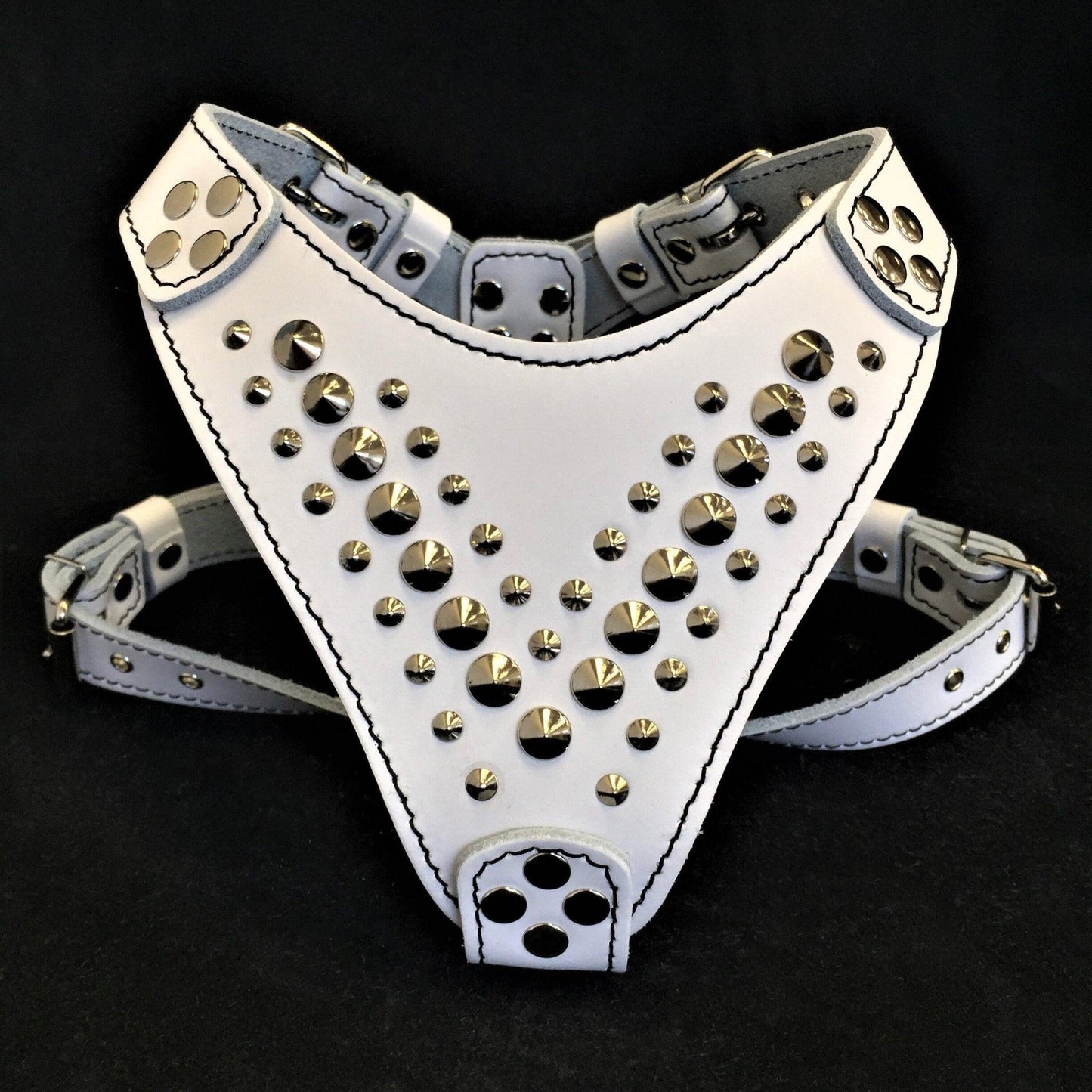 White leather harness with gold studs on a black background