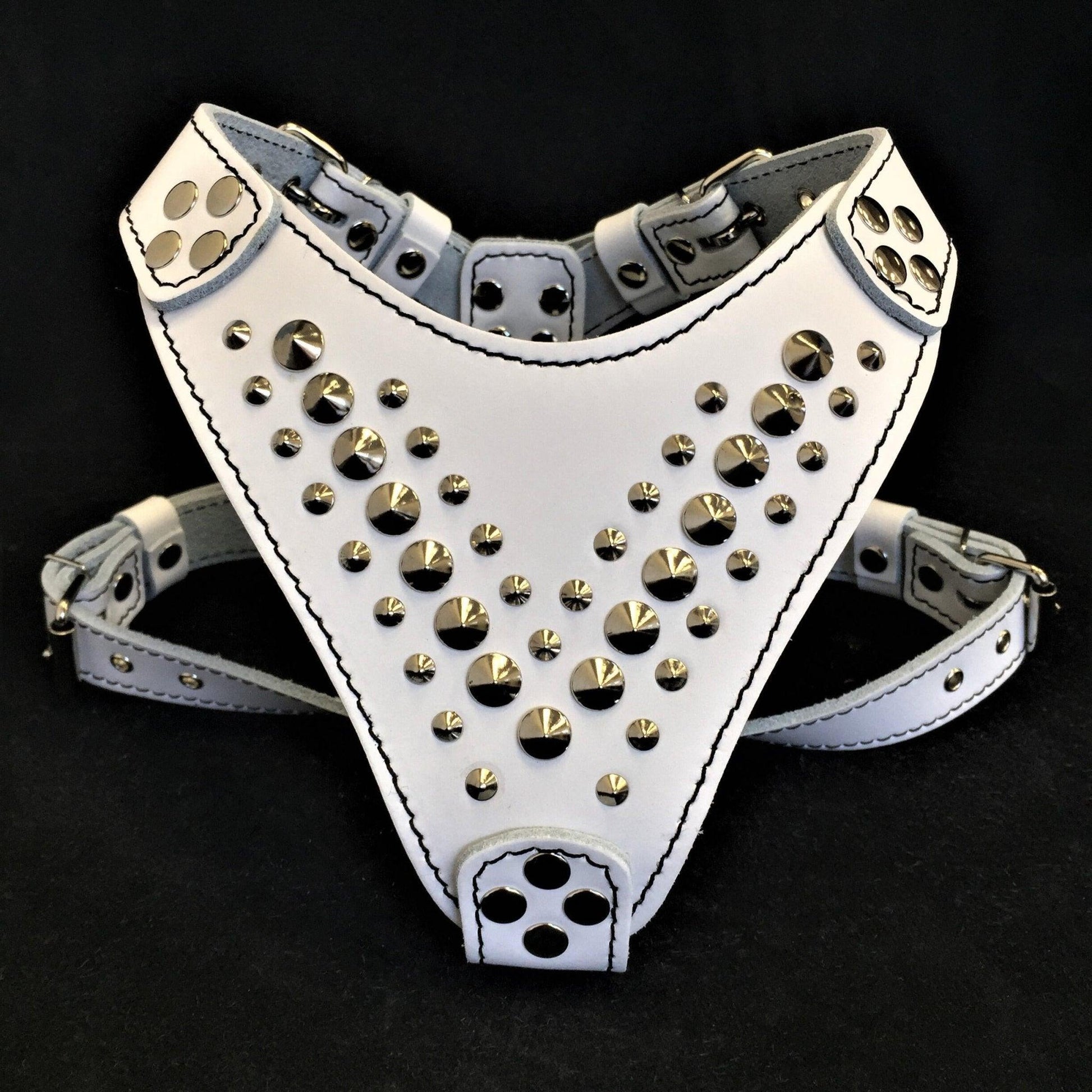 White leather harness with gold studs on a black background