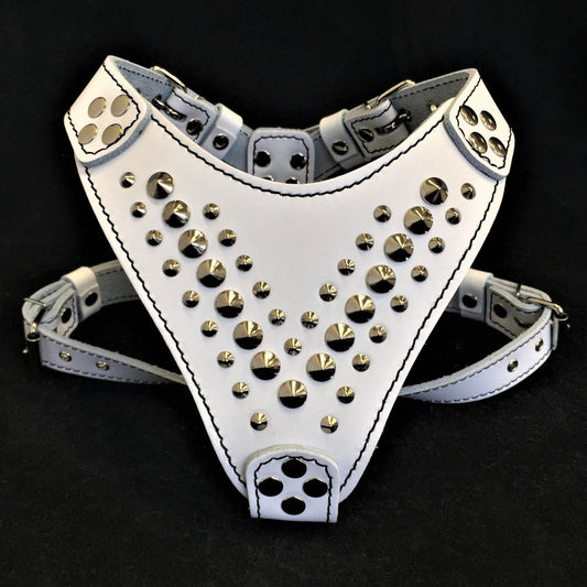 White leather harness with gold studs on a black background
