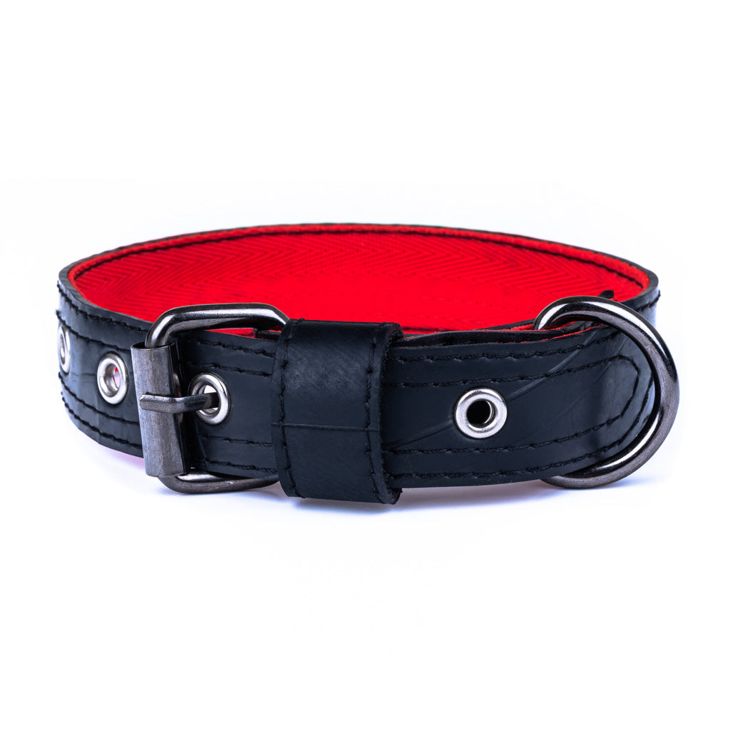 Black leather dog collar with red interior on a white background