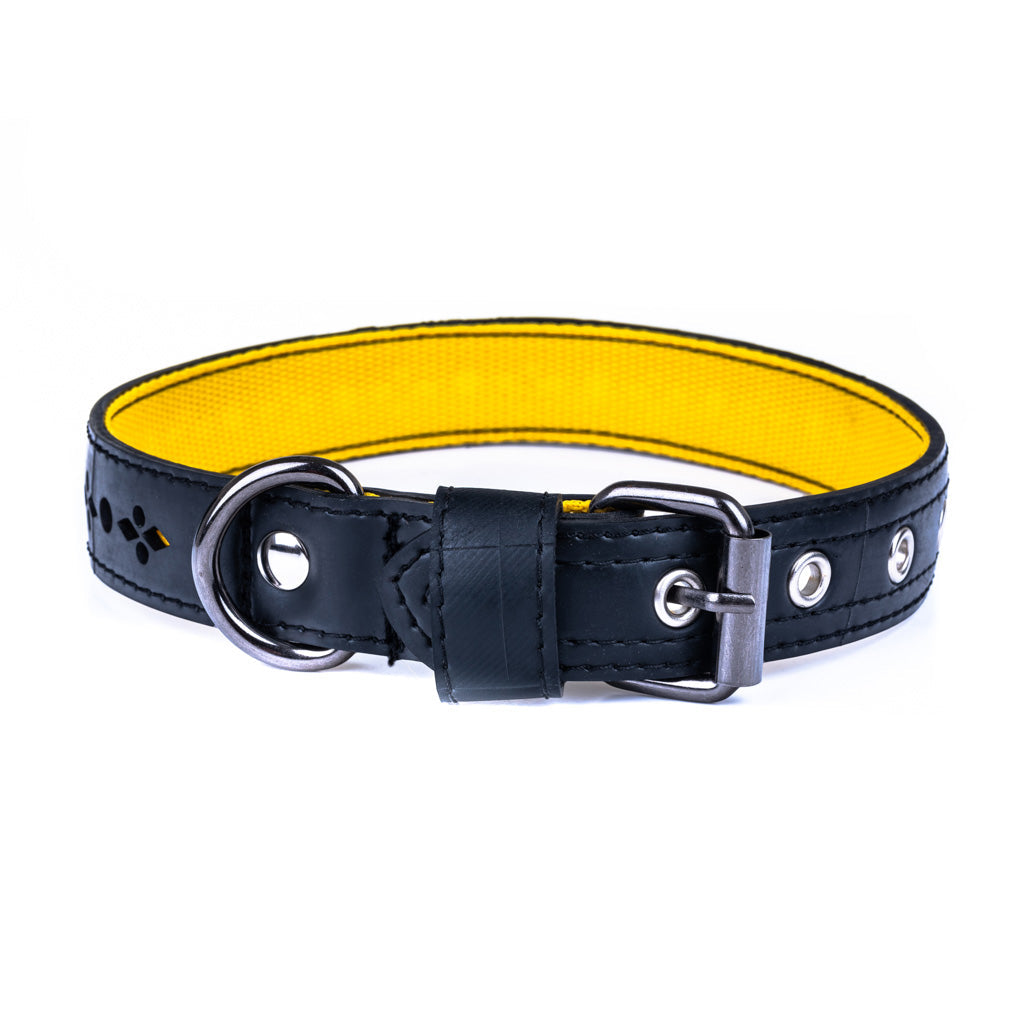 Eco vegan dog collar made from recycled inner tube in black with yellow interior and metal buckle
