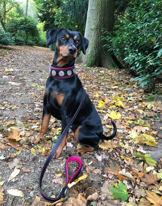 Bijou Dog Collar - Black & Pink