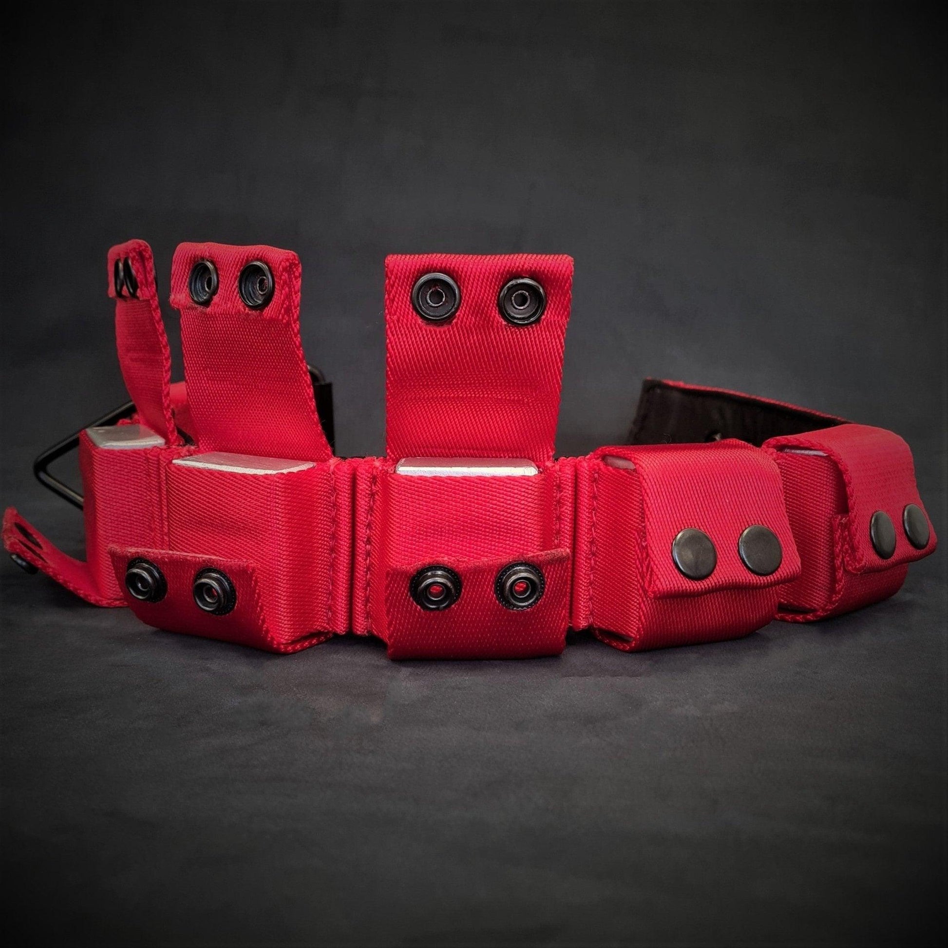Close up of weighted training collar showing weight compartments and adjustment holes