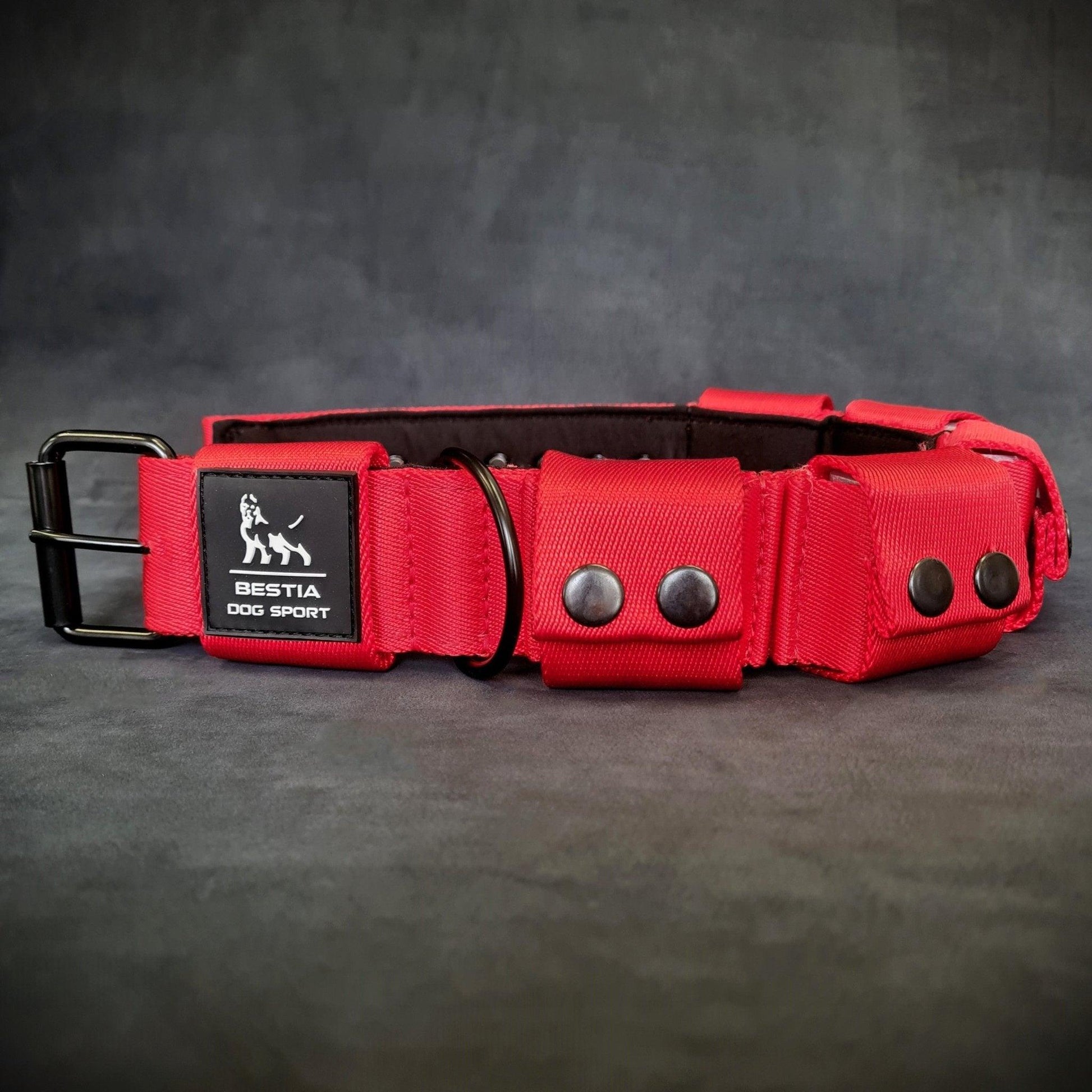 Nexus Pet Care weighted dog training collar with removable weights for large breeds