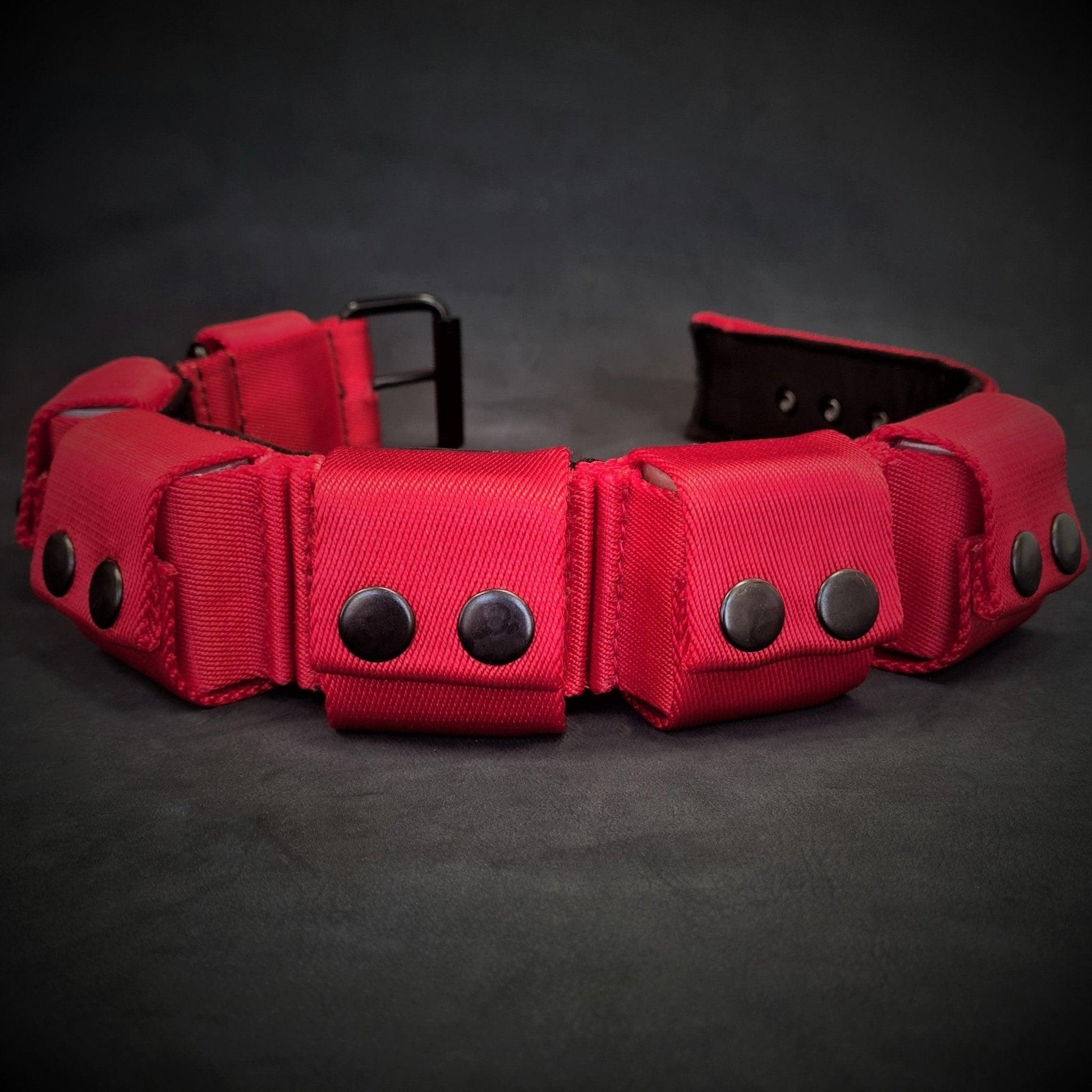 Red weighted dog training collar showing removable weight inserts and metal buckle